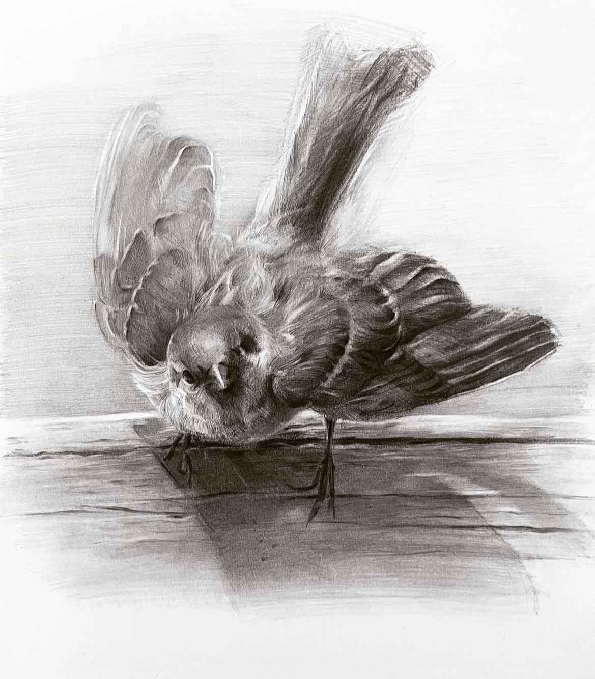 デッサン IMG_6131.jpg