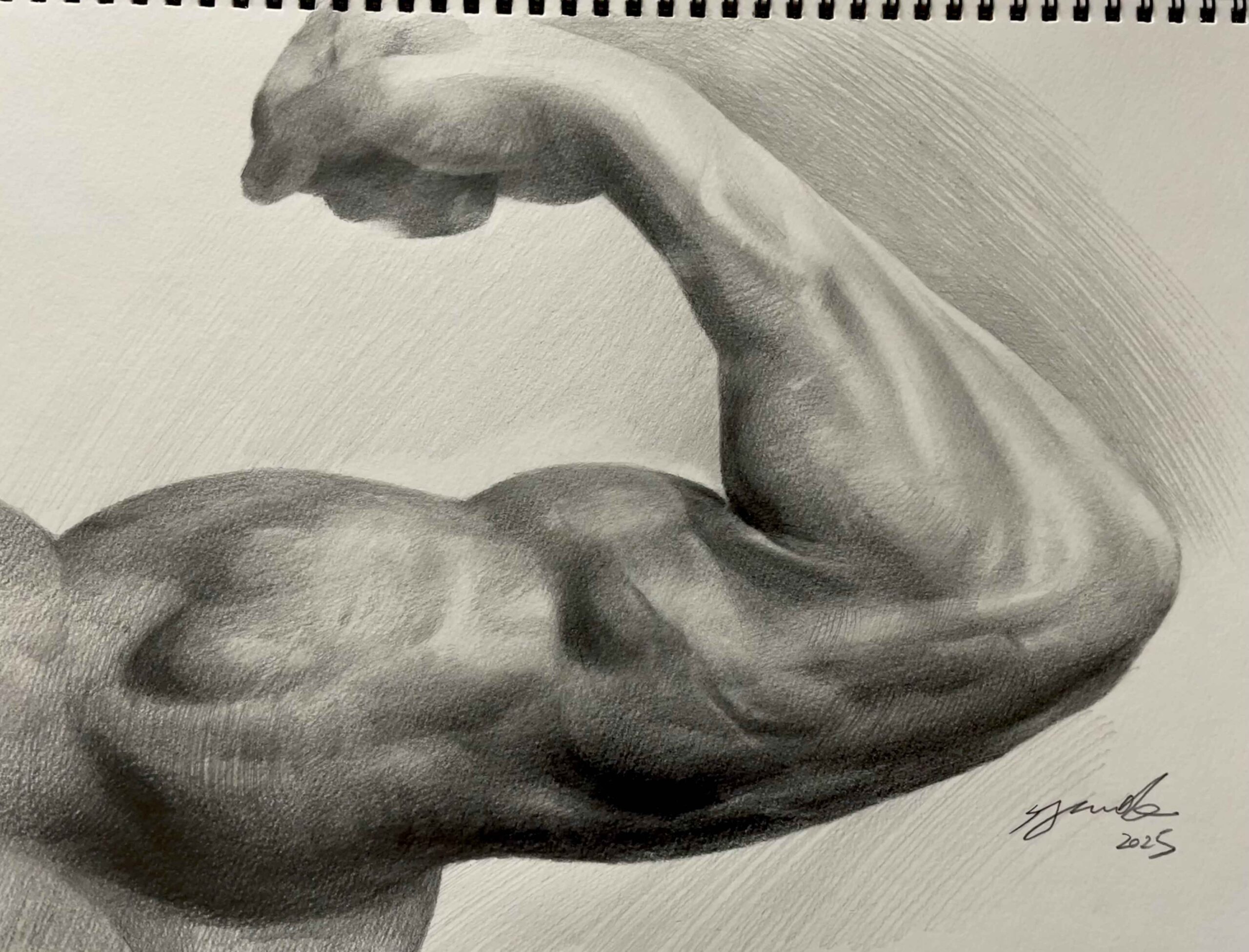 鉛筆デッサン：筋肉の描き方 by 東俊達先生 | 大阪絵画教室/美大