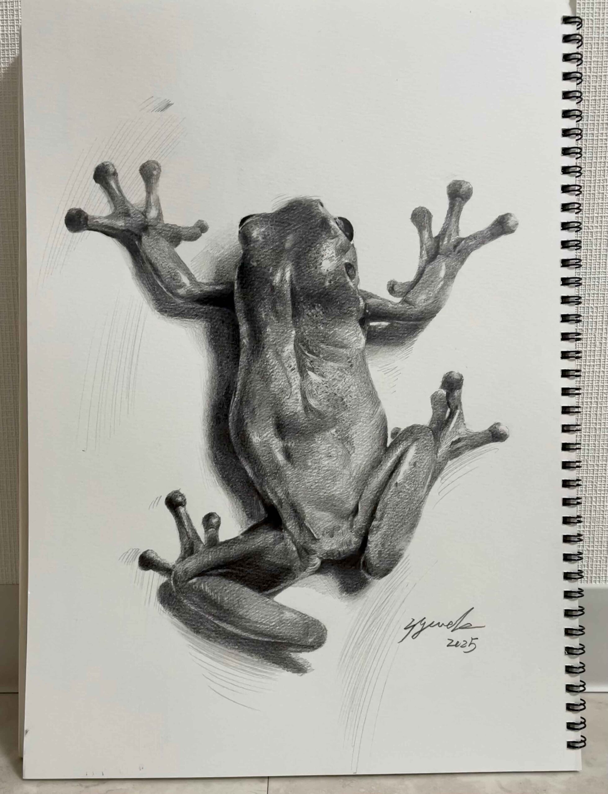 鉛筆デッサン：動物画の描き方 by 東俊達先生（AZUMAs式デッサン