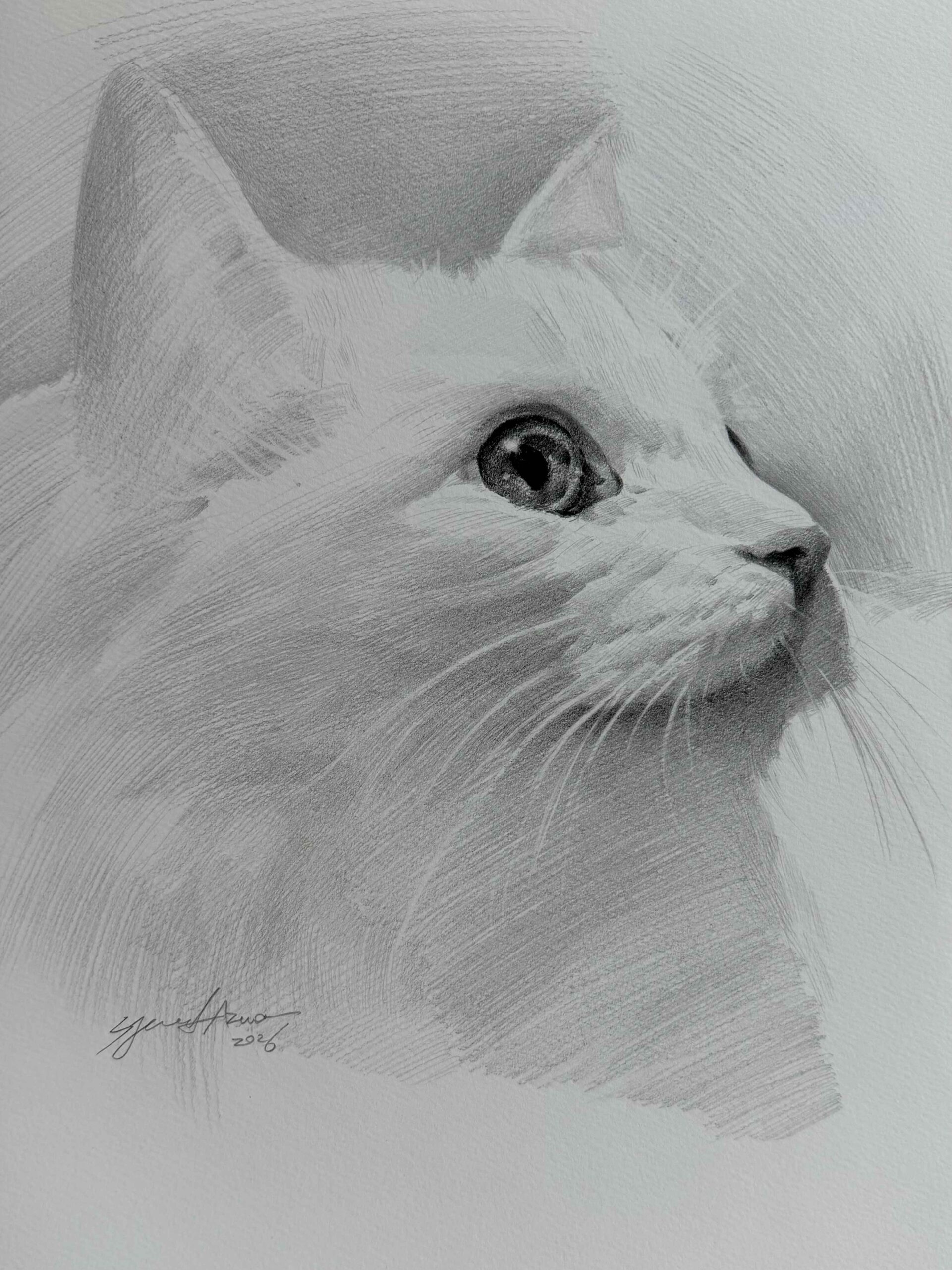 猫のデッサン 猫 #デッサン #大阪絵画教室 #pencildrawing