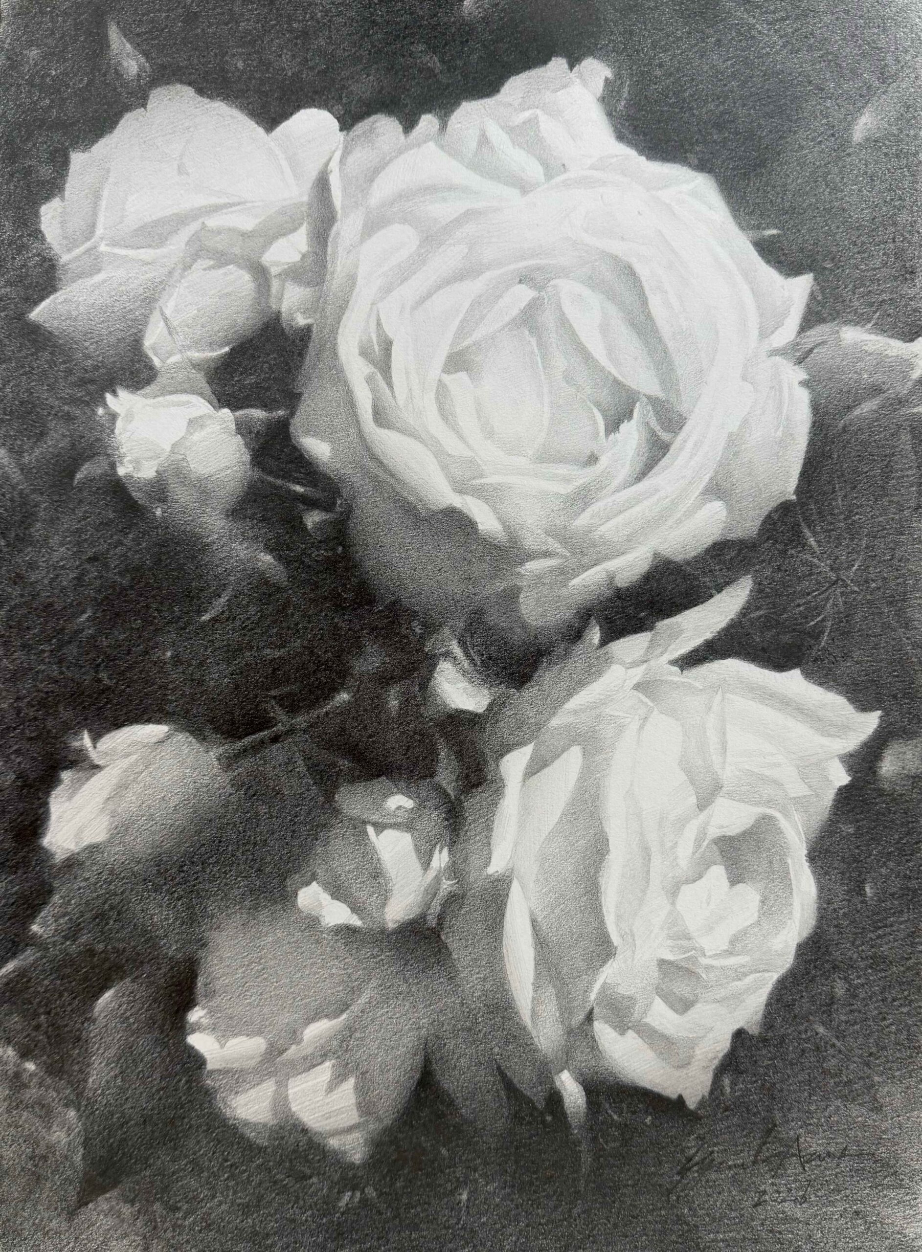 鉛筆素描デッサン：花(薔薇)の描き方 by 東俊達先生（AZUMAs式デッサン